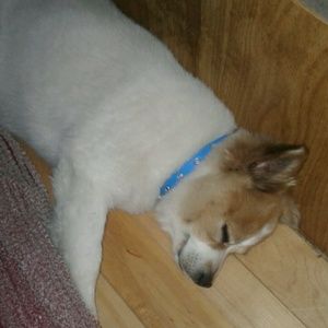 Meet your Posher, Tami